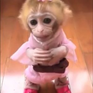 Meet your Posher, Sue